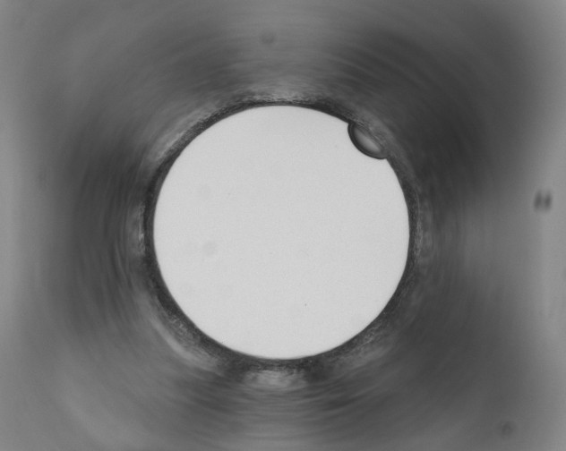 X0000110900251200907301613