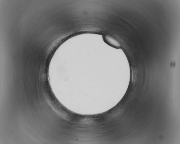 X0000110900252200907301613