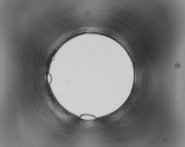 X0000110900253200907301613