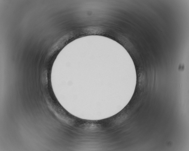 X0000110900254200907301613