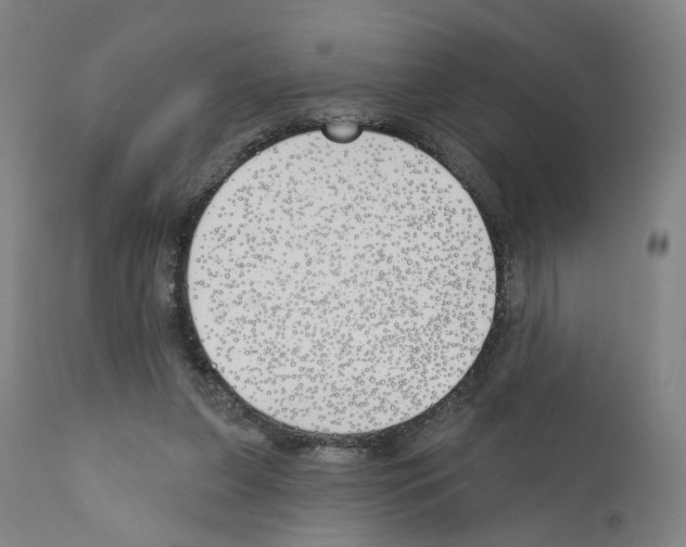 X0000110900255200907301613