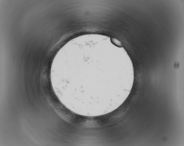 X0000110900256200907301613