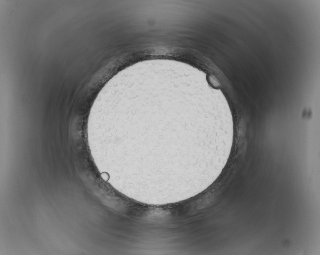 X0000110900257200907301613