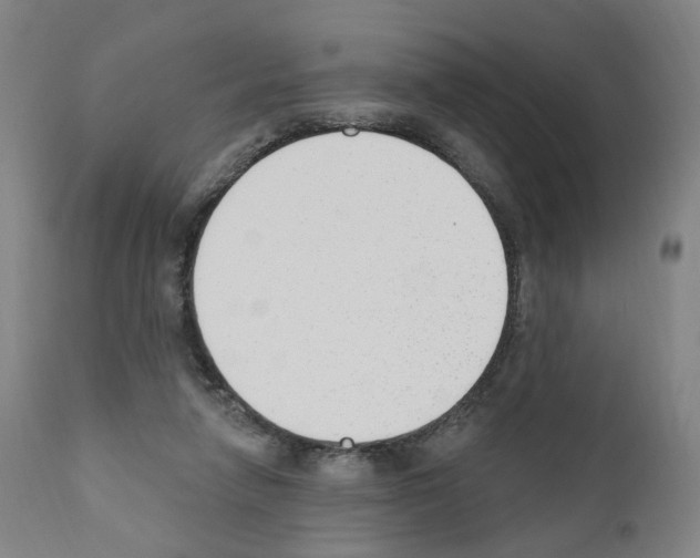 X0000110900258200907301613