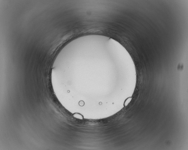 X0000110900260200907301613