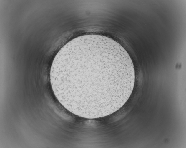 X0000110900261200907301613