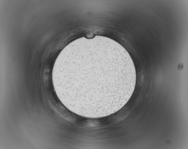 X0000110900263200907301613