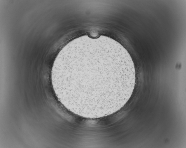 X0000110900265200907301613