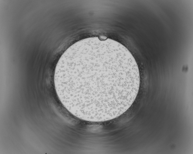 X0000110900266200907301613