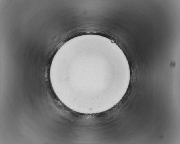 X0000110900268200907301613