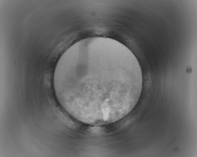 X0000110900269200907301613