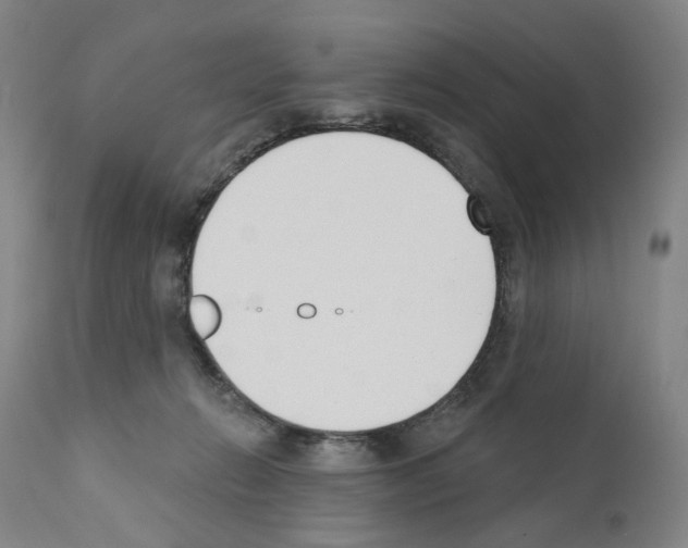 X0000110900270200907301613