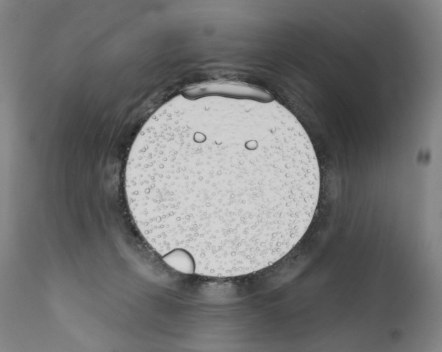 X0000110900271200907301613