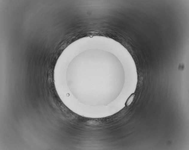 X0000110900272200907301613