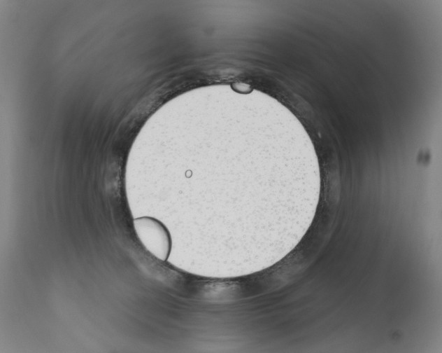 X0000110900274200907301613