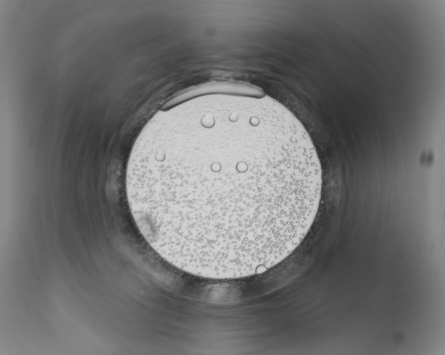 X0000110900275200907301613