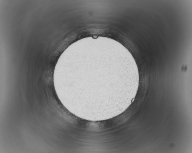 X0000110900277200907301613