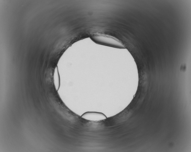 X0000110900280200907301613