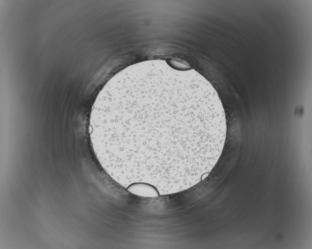 X0000110900282200907301613