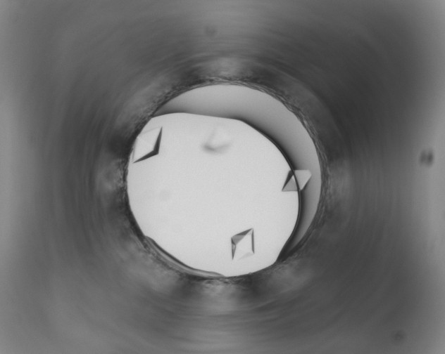 X0000110900284200907301613