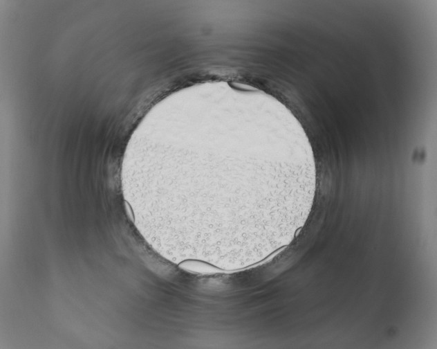 X0000110900285200907301613