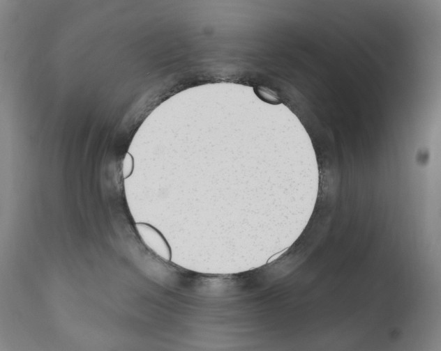 X0000110900286200907301613