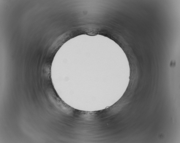 X0000110900288200907301613