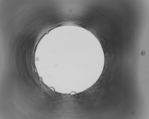 X0000110900289200907301613