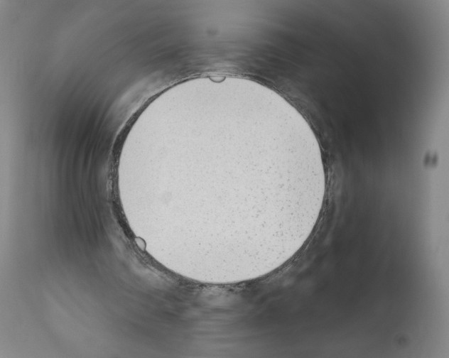 X0000110900290200907301613