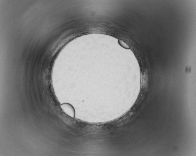 X0000110900291200907301613