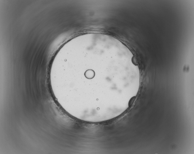 X0000110900293200907301613