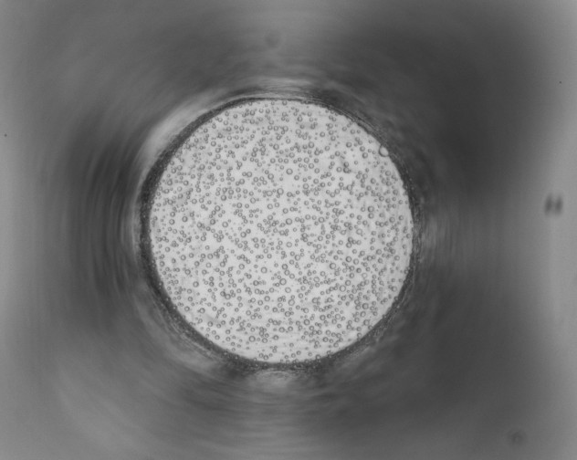 X0000110900294200907301612