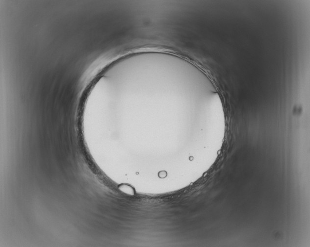 X0000110900296200907301612