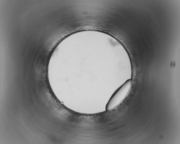 X0000110900297200907301612