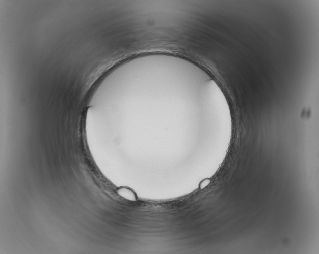 X0000110900299200907301612