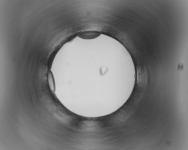 X0000110900300200907301612