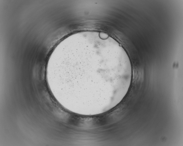 X0000110900301200907301612