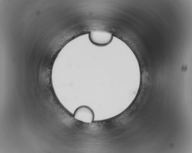 X0000110900305200907301612