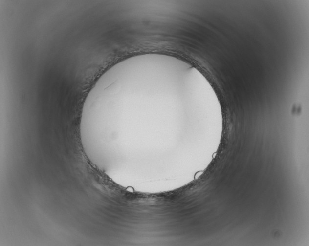 X0000110900307200907301612