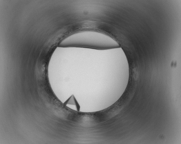 X0000110900308200907301612