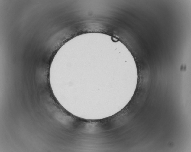 X0000110900309200907301612