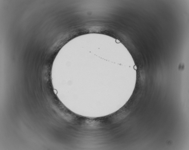 X0000110900311200907301612