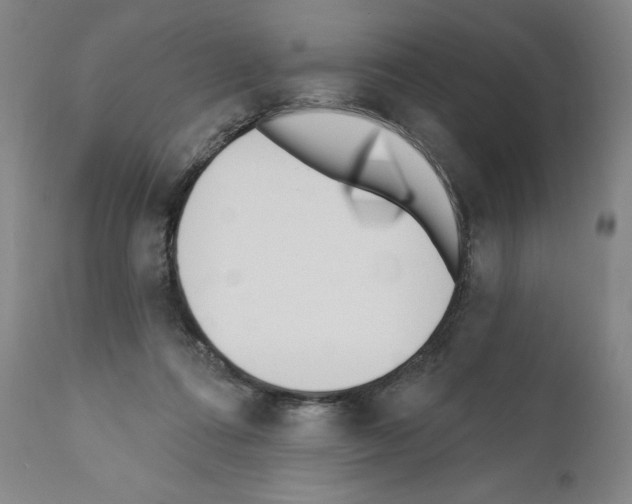 X0000110900312200907301612