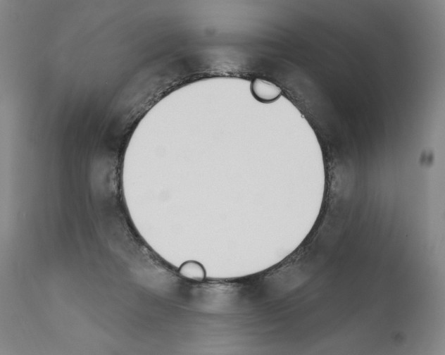 X0000110900313200907301612