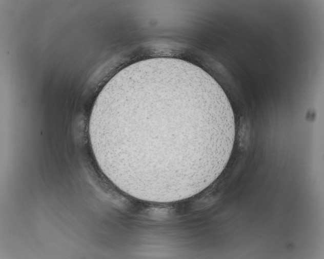 X0000110900314200907301612