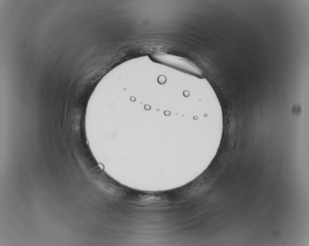 X0000110900315200907301612