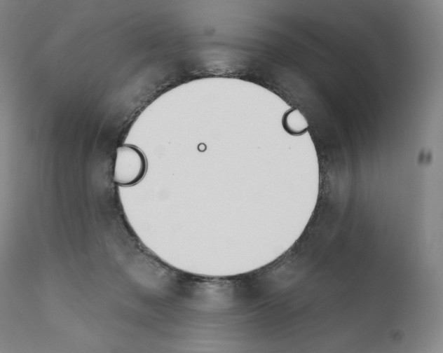 X0000110900317200907301612