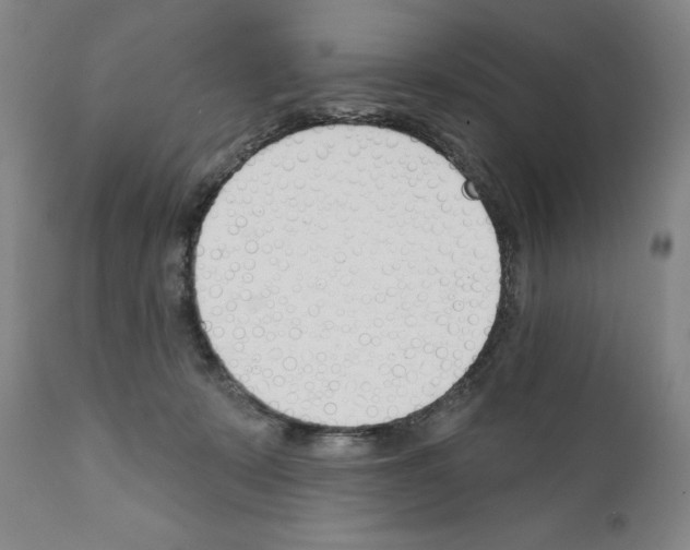 X0000110900319200907301612