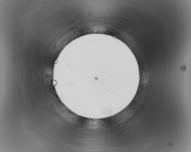 X0000110900321200907301612