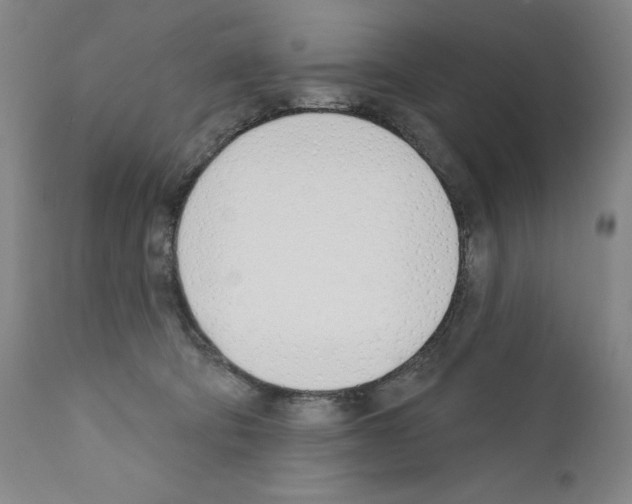 X0000110900322200907301612